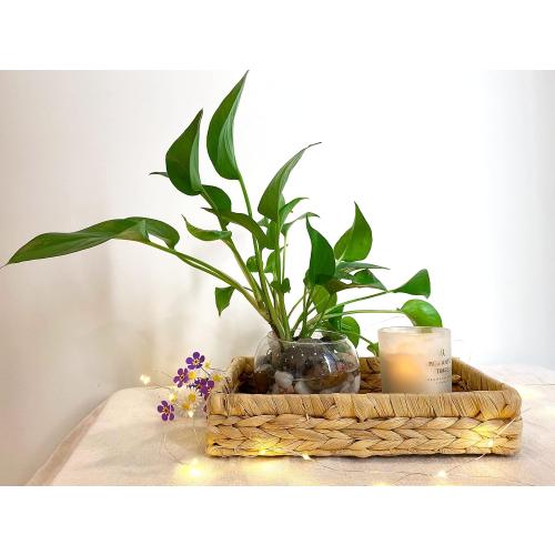 Rustic Woven Seagrass Guest Towel Tray Holder for spa, Farmhouse Water Hyacinth Guest Towel Napkin Holder for Desk