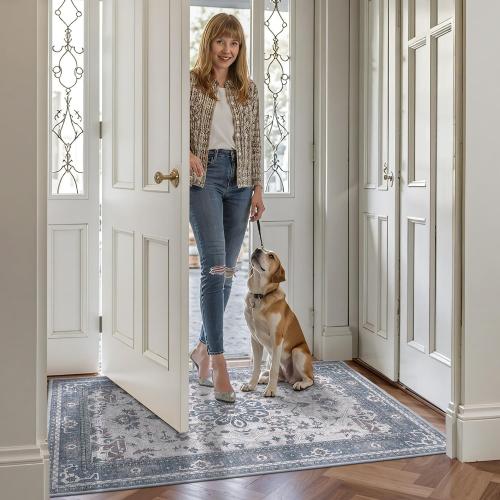 LUMI Retro Thin Door Mat, 18x30 Washable Indoor Doormat, Non Slip Absorbent Entrance Rug, Welcome Mats Entryway Rug Doormats for Front Door Kitchen Patio, Mist Blue