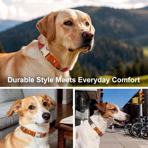 Plutus Pet Genuine Leather & Hemp Dog Collar – Adjustable Heavy Duty Pet Collar with Quick Release Metal Buckle, Soft & Stylish for Puppy and Small, Medium, Large Dogs (Red, L)