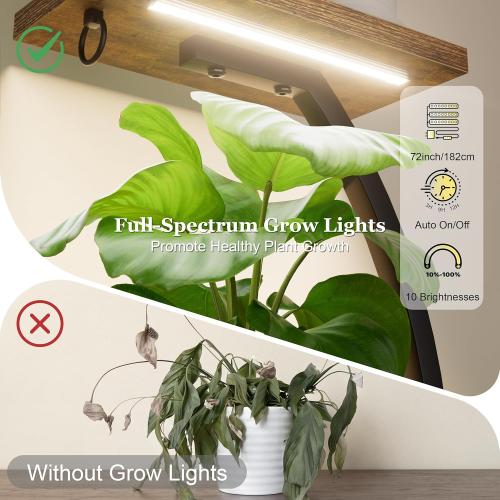 BACEKOLL Plant Stand Indoor with Grow Light - 2 Pack Tall Indoor Plant Shelf, 62 Corner Plant Holder, 8 Tiered Large S-Shape Flower Multiple Display Shelf for Home, Office
