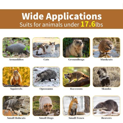 40” 2 Door Live Animal Trap, Easy Set and Release Animal Trap, Live Animal Trap Cage for catching Stray Cats, Raccoons, Squirrels, Rabbits, Moles, Groundhogs, Armadillos up to 17.6 lbs