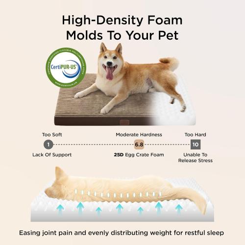 Bedsure ComfyFleece Dog Bed for Small Dogs - Orthopedic Pet Beds with Removable Washable Cover, NOT Waterproof Egg Crate Foam Puppy Mat, NOT for Chewers