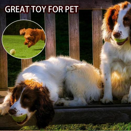 Tennis Balls, 80 Pack Training Tennis Balls Bulk, High Elasticity Practice Tennis for Beginner, Exercise Playing Balls for Pet Dog