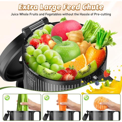 LQZ Cold Press Juicer, Masticating Juicer with Wide Feed Chute, Slow Juicer Machines Fit Whole Vegetables and Fruits with High Juice Yield, Easy to Clean (Black)