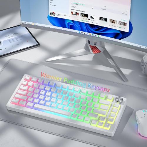 Pudding Keycaps, White PBT Keycaps 60 65 75 100 Percent, 130 Keys Shine Through Key Cap OEM Profile for MX-stem Switches Keyboard-White