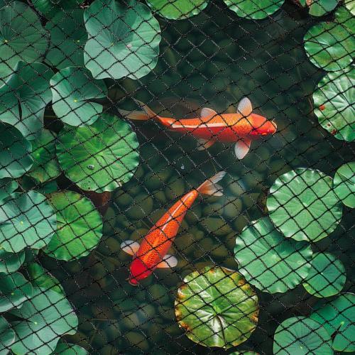 Heavy Duty Garden Netting with 5/8 Mesh, 50x50 Ft Extra Strong Woven Poultry Netting Plant Protection Netting for Fruit Trees, Vegetables & Flowers, Animal Fencing Against Birds, Deer, Poultry