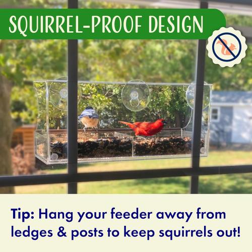 Window Bird Feeder by Nature's Hangout - Award-Winning Transparent Acrylic Bird Feeders for Outdoors, No Assembly, Strongest Suction Cups, Birds Watching for Cats, Easy-to-Clean Birdhouse Feeder