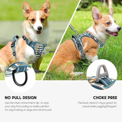 Size XL Timos Dog Harness, 3 Snap Buckles No-Pull Soft Padded Dog Vest with 2 Metal Leash Clips, Adjustable Reflective No Choke Pet Harness with Easy Control Handle for Small Dogs, Sunset Valley,