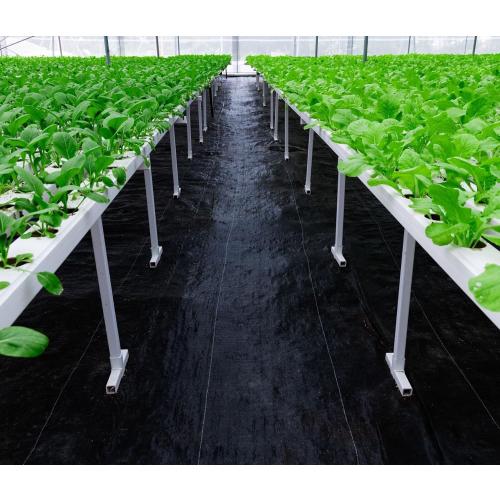 ECOgardener Premium 5oz Landscape Fabric, 3ft x 250ft Pro Garden Weed Barrier - Durable & Heavy Duty Weed Block Gardening Mat, Easy Setup & Superior Weed Control, Eco-Friendly & Convenient Design