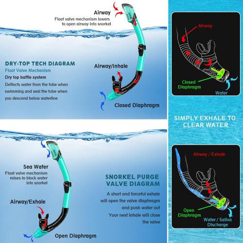ZEEPORTE Mask Fin Snorkel Set with Adult Snorkeling Gear, Panoramic View Diving Mask, Trek Fin, Dry Top Snorkel  Travel Bags, Snorkel for Lap Swimming