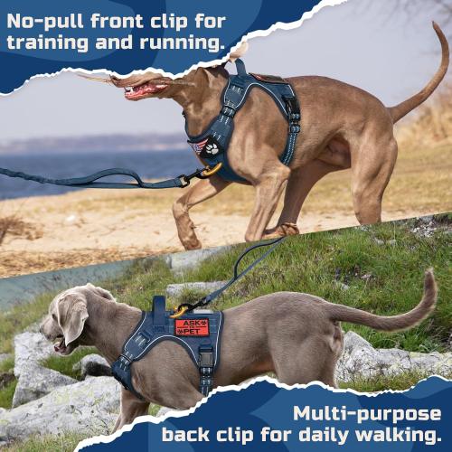 Size S ....rabbitgoo Dog Harness No Pull, Military Dog Harness Medium Sized Dog with Handle & Molle, Easy Control Service Dog Vest Harness Training Walking, Adjustable Reflective Tactical Pet Harness, Blue,