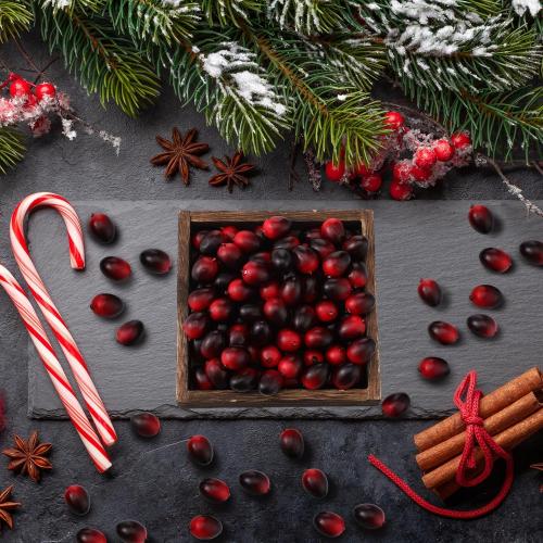 Christmas Artificial Cranberries Fruit Fake Cranberries for Christmas Tree Decoration Wedding Garland DIY Craft Table Decoration Photo Props