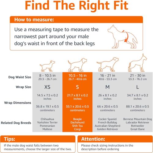 Amazon Basics Leak-Proof, Super Absorbent Male Dog Diapers with Wetness Indicator, Comfortable Design, Breathable Disposable Wrap, Secure Fit, Small, 30 Count