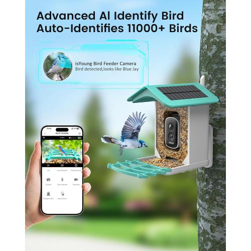 Color Blue Smart Bird Feeder Camera (Dual Panel), Solar Powered, Identify 11,000  Birds with AI, Auto Capture & Notify, 2K HD Footage, Outdoor Bird Watching, Ideal Gift for Birds Lovers.