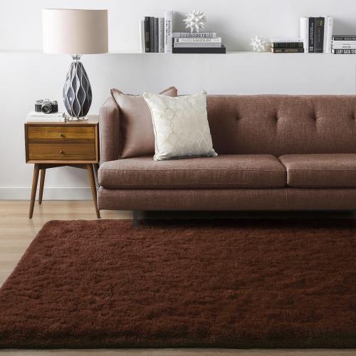 Area Rug Brown Large Living Room Fluffy Carpet for Bedroom Dorm, Non-Slip High Pile, Coffee Modern Big Shag Rug for Classroom Kids Playroom Nursery Home Office Decor