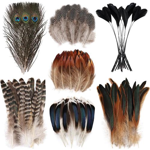 FeelfunFeather 150 pcs Natural Feathers Bulk- 7 Style Mixed Spotted Decorative Pheasant Feather Peacock Feather for DIY Crafts Halloween Wedding Party Hat Decoration