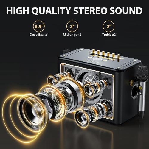 JYX Karaoke Machine with 2 Wireless Microphones, Portable Bluetooth Singing PA System Bass/Treble Adjustment, Supports TV Connetion/Bluetooth/USB/TF/AUX for Home Party