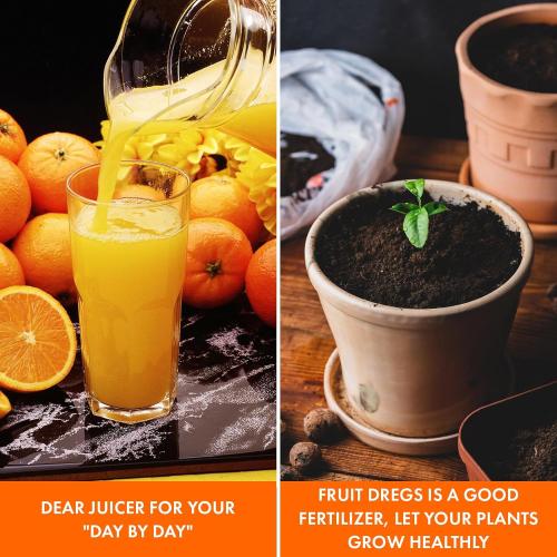 Masticating Juicer Attachment for KitchenAid Stand Mixer, Cold Press Juicer Machine, Slow Masticating Juicer Attachment with Dual Feed Chute, For KitchenAid Mixer Attachments by Gvode