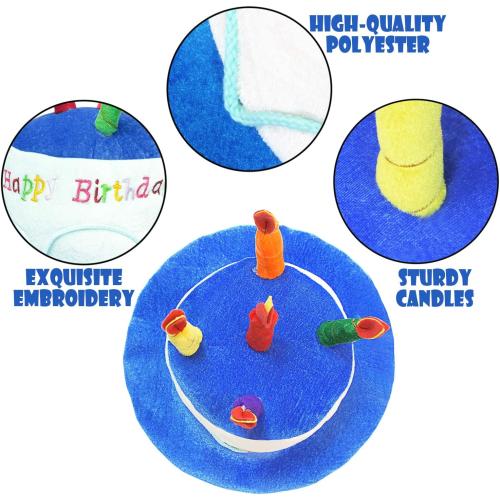 Novelty Place Blue Plush Happy Birthday Cake Hat - Unisex Adult Size Fancy Dress Party Hats - Perfect as Party Favors, Costume Accessories - Cake & 5 Multicolor Candles