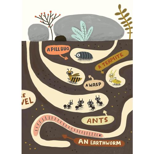The Bug Club