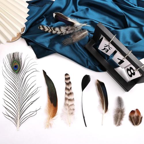 FeelfunFeather 150 pcs Natural Feathers Bulk- 7 Style Mixed Spotted Decorative Pheasant Feather Peacock Feather for DIY Crafts Halloween Wedding Party Hat Decoration