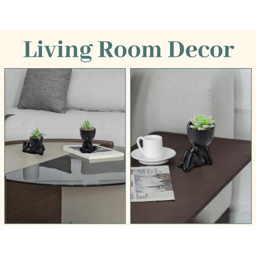 Der Rose 3pcs Fake Succulents Plants Artificial for Black Bathroom Bedroom Home Living Room Halloween Decor Aesthetic Indoor