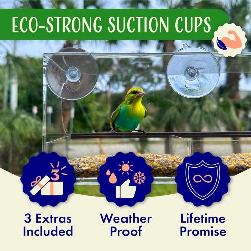 Window Bird Feeder by Nature's Hangout - Award-Winning Transparent Acrylic Bird Feeders for Outdoors, No Assembly, Strongest Suction Cups, Birds Watching for Cats, Easy-to-Clean Birdhouse Feeder
