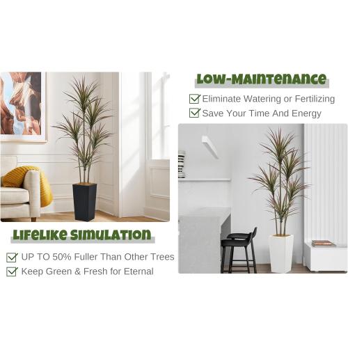 Size 6ft Artificial Dracaena Marginata Bicolor Tree 6FT with 200 Leaves & 5 Heads & White Tall Planter Cover with Coconut Fiber Tall Faux Tropical Yucca Silk Plant for Indoor Home Office Porch Decor