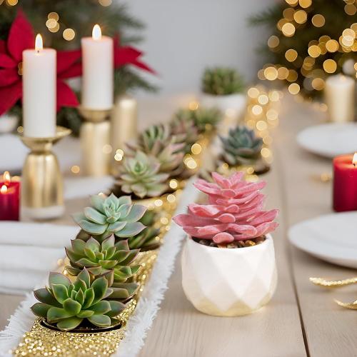 VIVERIE Mini Succulents Plants Artificial in Pots-Rose Pink, Christmas Small Fake Succulents Plants for Home Halloween Decor Indoor for Women, White Ceramic, Set of 4, Gifts for Mom