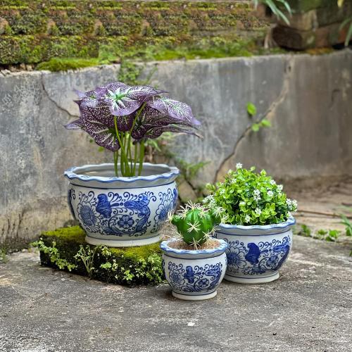 Blue and White Planters, Succulent Pots Ceramic Plant Pots Indoor with Drainage for Home Décor - Set of 3