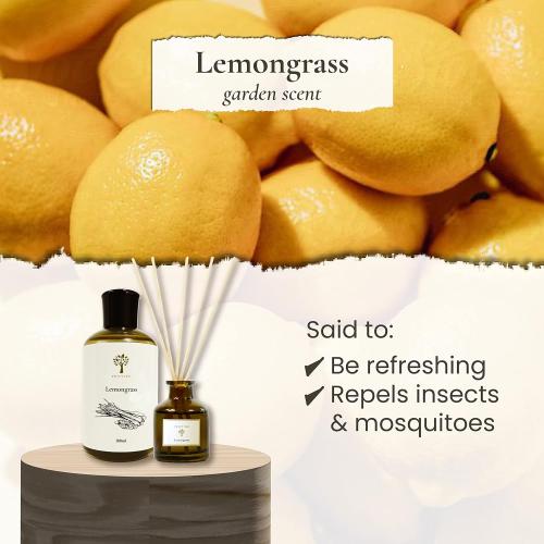 PRISTINE Lemongrass Reed Diffusers for Home & Bathroom | Fresh Lemongrass & Citronella Room Fragrance, Oil & Room Diffusers with Reeds Stick | Refreshing Home Fragrance Scent