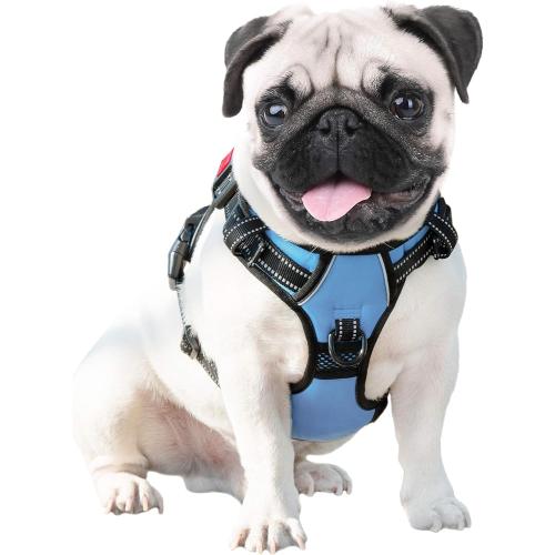PHOEPET No Pull Dog Harness 3M Reflective Adjustable Vest with a Training Handle, Name ID Pocket, 2 Metal Leash Hooks, 3 Snap Buckles [Easy to Put on & Take Off](L, Baby Blue)