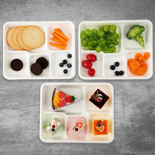 Vplus 100% Compostable 5 Compartment Plates 125 Pack Eco-Friendly Disposable Sugarcane 10 x 8 inch Bagasse School Lunch Tray Perfect for Boys and Girls