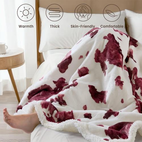 Heated Blanket Throw Blanket – Fast Heating Blanket with 10 Heat Settings & 4 Timer Options, Cozy Soft Fleece Sherpa, Washable, Warm Gifts for Grandma