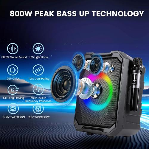 Karaoke Machine with 2 Wireless Microphones, Portable Bluetooth Party Karaoke Speaker with LED Lights, Bass/Treble Adjustment, TWS, 800W(Peak) PA System for Home Party, Supports USB/AUX/REC/Mic-in ( no remote)