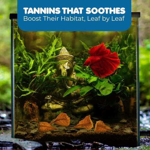 SunGrow 50 pcs Catappa Indian Almond Leaves for Betta Fish Tank Aquarium, 2” Water Conditioner Leaves, Leaf Also Suitable for Shrimp, Goldfish, Guppy and Frogs