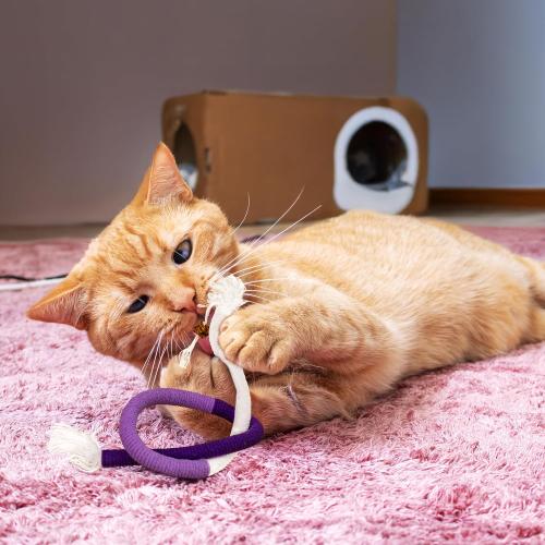Cat Chew Rope - 3 Pack Cat Chew Ropes for Teeth Cleaning, Kitten Teething Toys with Stick to Transfer Chewing from Wires to Cotton String