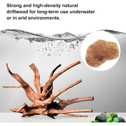 majoywoo Natural Large Driftwood for Aquarium Decor Reptile Decor, Assorted Spider Wood Branch 13-17 Long, Fish Tank Decoration