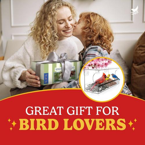 Window Bird Feeder by Nature's Hangout - No Assembly, Strong Suction Cups | Acrylic Bird Feeders for Outside Bird Watching for Cats Easy-to-Clean Birdhouse Bird Feeder for Window Viewing Slide-out Tray