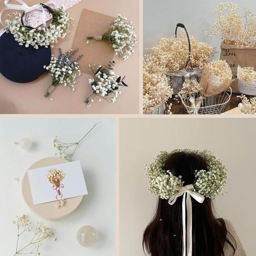 Dried Baby's Breath Bouquet, Pure White 6-7.8 Portable Mini Gypsophila Flowers, 2000  Natural Preserved Flowers for Wedding Home Decor DIY Crafts Vase Filler Wreath Card Making