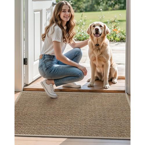 DEXI Ultra Thin Entryway Indoor Door Mat 32x48, Non Slip Rubber Backing Inside Entry Mat, Low Profile Easy Clean Dirt Trapper Doormat for Inside Entrance Patio, Beige
