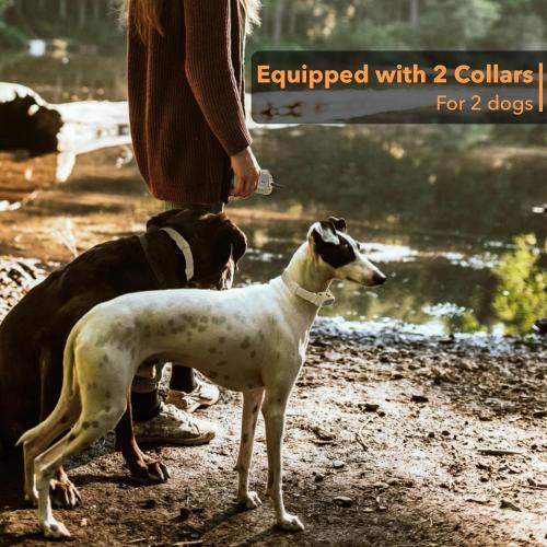 Dog Training Collar 2 Dogs with APP Control - 1/2 Mile Range E Collar for Dogs, Bluetooth-Enabled Waterproof Electric Collar for Large Dogs (15-140 lbs)