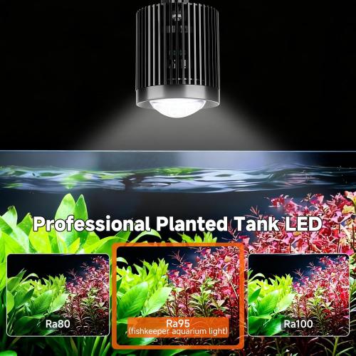 fishkeeper Clip On Aquarium Light, 24/7 Fish Tank Light with Timer, DIY 3 Colors & 10 Brightness Full Spectrum Aquarium LED Lights with Adjustable Metal Clamp for Freshwater Plants Fish Tanks (100W)