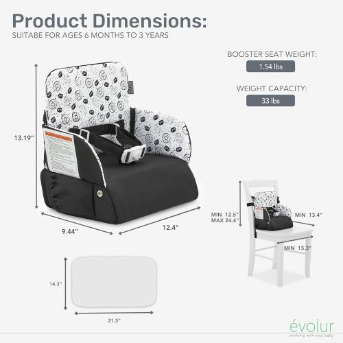 Evolur Snug Packsack 2-in-1 Portable Booster Seat and Travel Bag