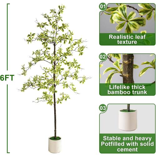 Bailikang 6FT Artificial Black Olive Tree Artificial Olive Plants, Tall Faux Olive Tree Faux Silk Plant Fake Plant Ultra-Realistic Silk Leaves & Natural Trunk Indoor Outdoor Use
