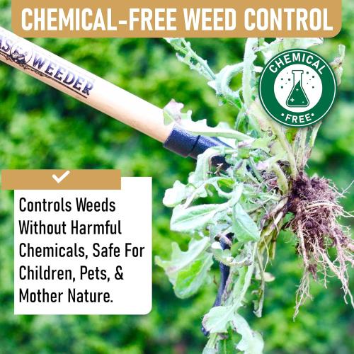 Grampa's Weeder - The Original Stand Up Weed Puller Tool with Long Handle - Made with Real Bamboo & 4-Claw Steel Head Design - Easily Remove Weeds Without Bending, Pulling, or Kneeling.