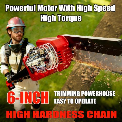 2-in-1 Electric Pole Saw, Cordless Pole Saw & 6 Inch Mini Chainsaw for Tree Trimming Trimmer Limb Branch Cutter Pruner with Extension Pole and 2×2.0Ah Battery Powered Pole Chain Saw, 16 Feet