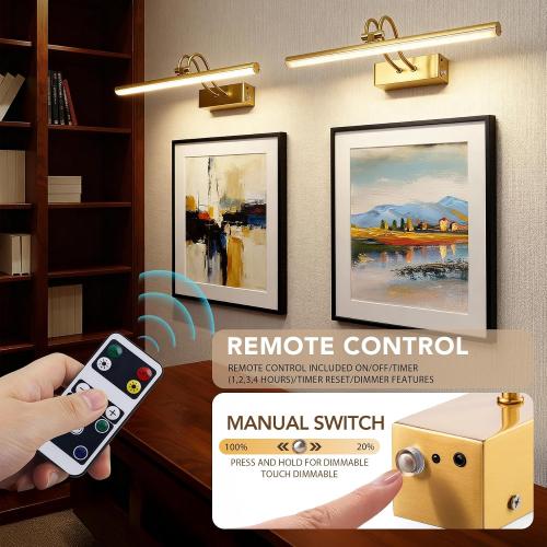 RAIFOOLLY Picture Light, Picture Lights for Wall Cordless, 20inch Picture Lights with Timer and Dimmable, 5000mAh Battery Wall Lights for Display Gallery Painting Art Frame Portrait