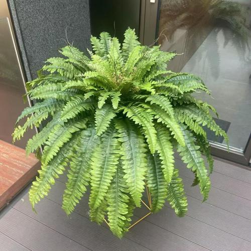 50 Fake Ferns Artificial Plants Large, 98 Fronds Artificial Ferns for Outdoors and Indoors, Suitable for Planter Garden Porch Office Decor