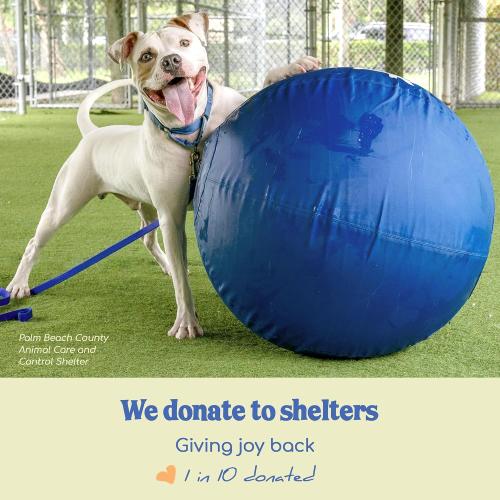 Race&Herd 25 Original XXL Herding Ball for Dogs Large - Herding Toys, Durable Outdoor Big Dog Herding Ball for Australian Shepherd, Corgis, Border Collie Ball & Other Medium to Large Breeds (Blue)